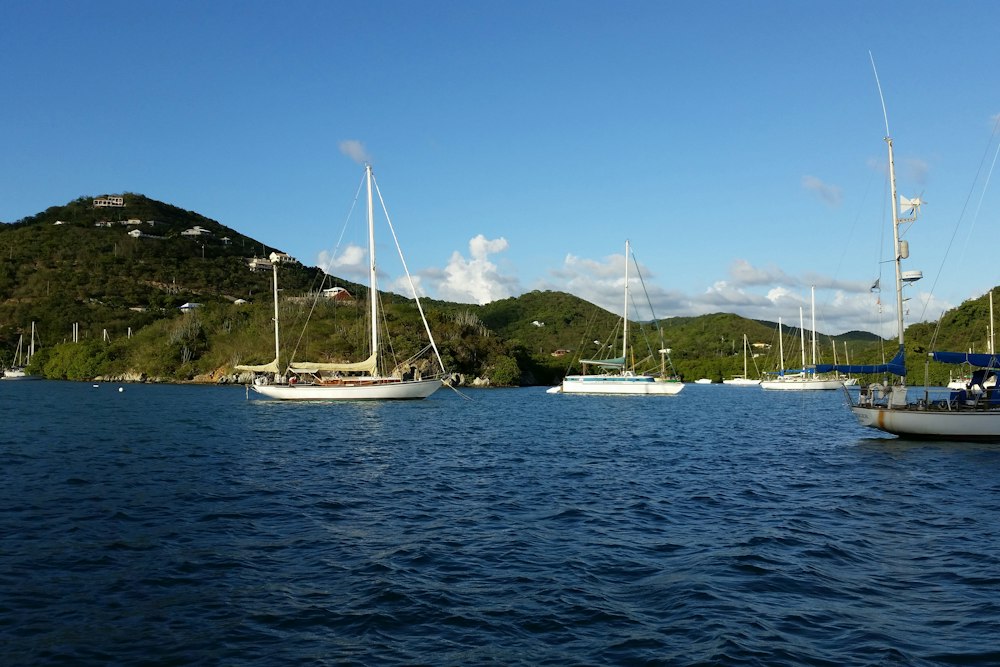 Sailboats at anchor off St. Thomas